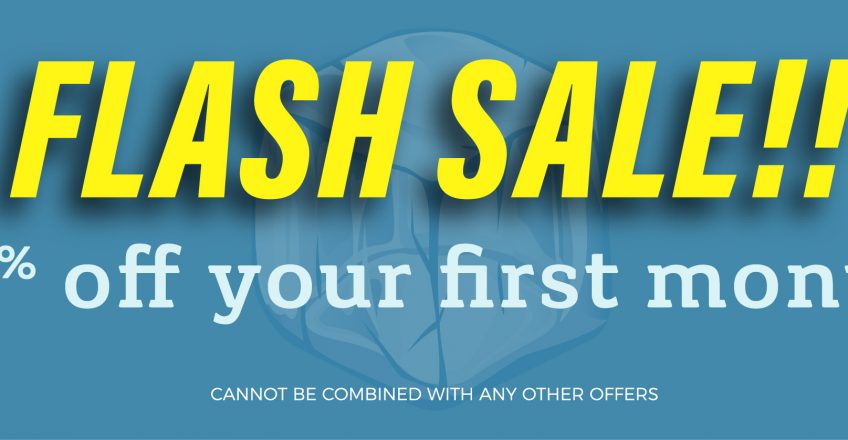Flash Sale Web Banner 806 X 201 Cool Box Portable Storage